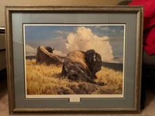 Thunderhead nancy glazier for sale  Arlington