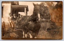 Kids pony horse for sale  Athens