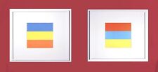 Ellsworth kelly line usato  Cesena