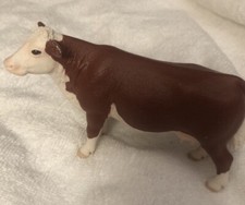 Polled hereford cow for sale  Calvin