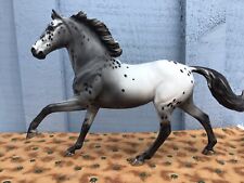 grey gelding for sale  Corry