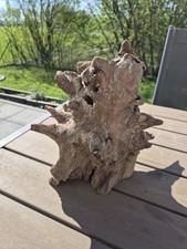 Aquarium terrarium wurzel gebraucht kaufen  Eitting