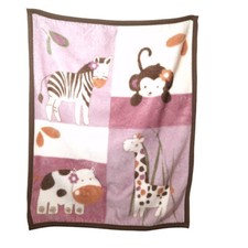 Cocalo baby zebra for sale  San Antonio