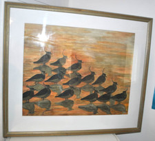 Joan ryder bird for sale  LLANFAIRPWLLGWYNGYLL