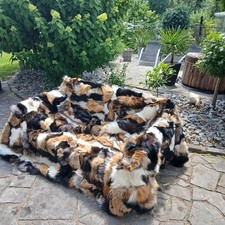 Echtfell pelzdecke fuchs gebraucht kaufen  Alsdorf
