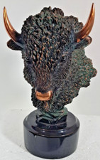 American wild buffalo for sale  Clear Lake
