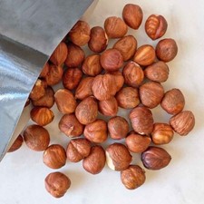 Fresh raw shelled for sale  Montezuma
