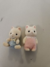 baby kitten for sale  HASTINGS