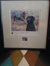 Framed illinois 1999 for sale  Oswego