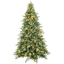 blue spruce christmas tree for sale blue spruce christmas tree for sale Seattle