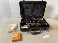 Hisonic clarinet case for sale  Williamsburg