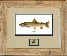 Oregon native trout for sale  La Habra