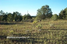 Acre property gorgeous for sale  Grants