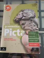 Libro grammatica picta usato  Quartu Sant Elena