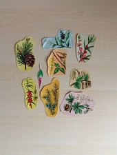 Alte ddr glanzbilder gebraucht kaufen  Lengenfeld