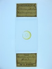 Antique microscope slide for sale  BRISTOL