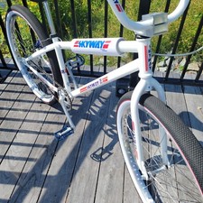 Skyway pro class for sale  Berlin