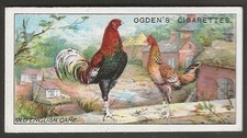 Ogdens poultry 1915 for sale Ogdens poultry 1915 for sale  COLNE