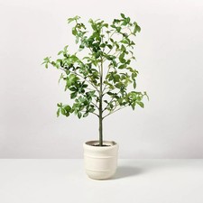 Faux potted gypsophila for sale  USA