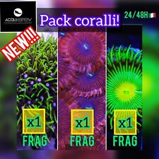 Novità pack coralli usato  Italia