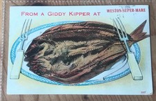 Novelty pull postcard for sale  WORTHING