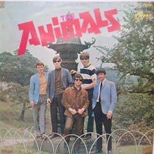 The animals the usato  Roma