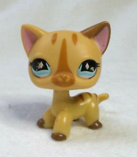 Littlest petshop lps d'occasion  Mussidan