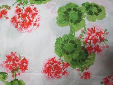 red plant geranium white for sale  Saint Clairsville