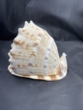 Pristine horned helmet for sale  Marion