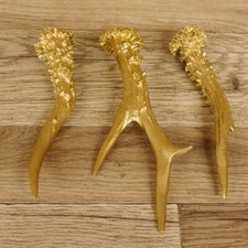 Rehstangen goldfarbig gehörne gebraucht kaufen  Nagel
