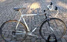 Greg lemond maillot for sale  Amelia Court House