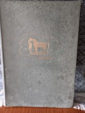 Trottatore americano francese usato  San Giovanni in Persiceto
