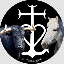 Cheval taureau camarguais d'occasion Cheval taureau camarguais d'occasion  Vertou