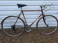 Raleigh magnum bicycle for sale  WINDSOR