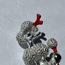 Toy poodle miniurature for sale  Monument