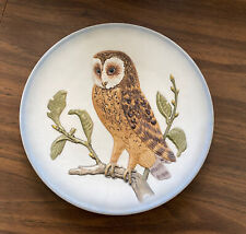 Barn owl 3rd for sale  Wellington