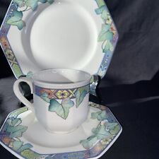 Villeroy boch porzellan gebraucht kaufen  Nordenham