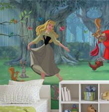 Cendrillon fille chambre d'occasion Cendrillon fille chambre d'occasion  Expédié en France