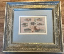 Vintage fly fishing for sale  Tualatin