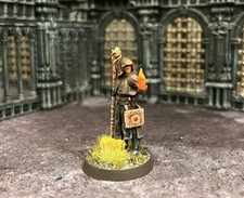 Pro painted battlemage gebraucht kaufen  Kerpen