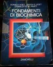 Voet pratt fondamenti usato  Caivano