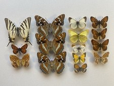 Small collection european for sale  SALISBURY