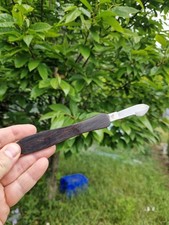 Antique fleam blood for sale  MALDON
