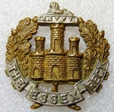 Essex regiment army for sale  CARTERTON
