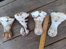 Antique claw foot for sale  Cortland