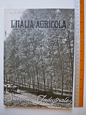 Italia agricola 1924 usato  Russi