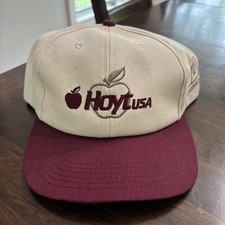 Vintage hoyt usa for sale  Carroll