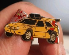 N171305 pin collection d'occasion  Folschviller