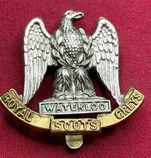 royal scots greys for sale royal scots greys for sale DORKING