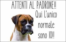 Cartello segnaletico boxer usato  Acate
